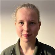 M’encantaria donar classes de repàs a nois i noies de primària